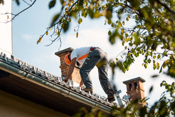 Quick and Trustworthy Emergency Roof Repair Services in Oberlin, OH