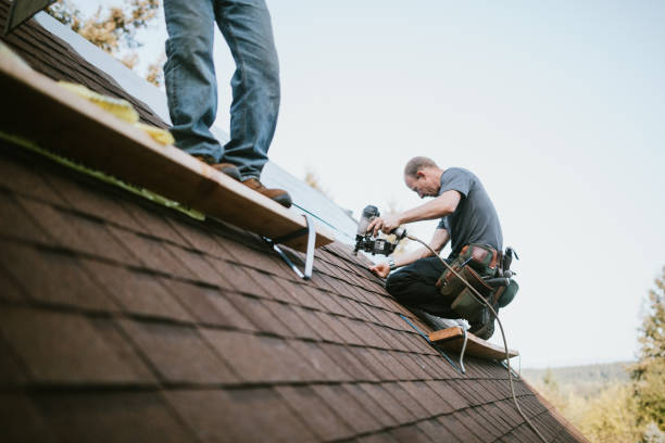 Best Metal Roofing Contractor  in Oberlin, OH